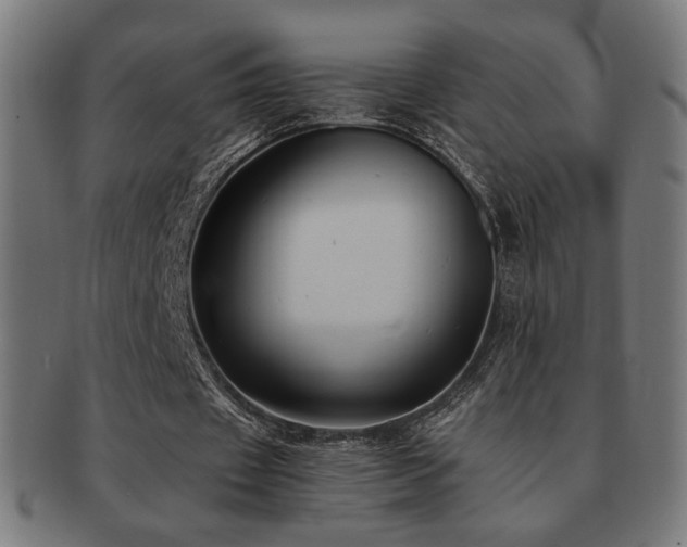 X0000091880433200709051327