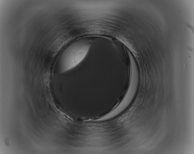 X0000091880434200709051327