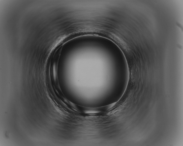 X0000091880436200709051327