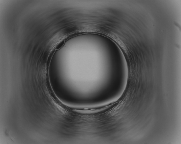 X0000091880437200709051327
