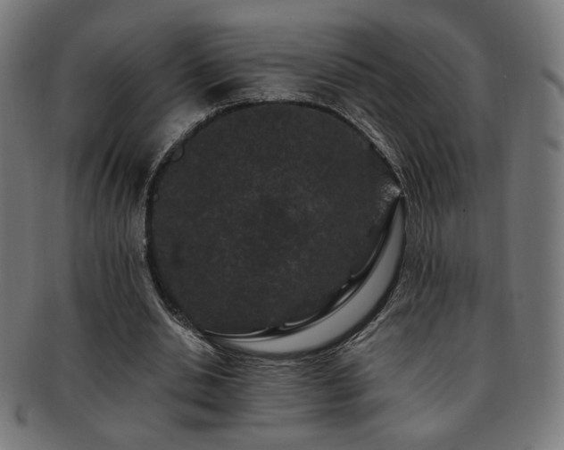 X0000091880438200709051327