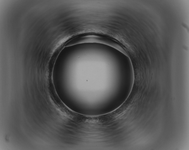 X0000091880440200709051327