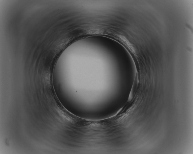X0000091880441200709051327