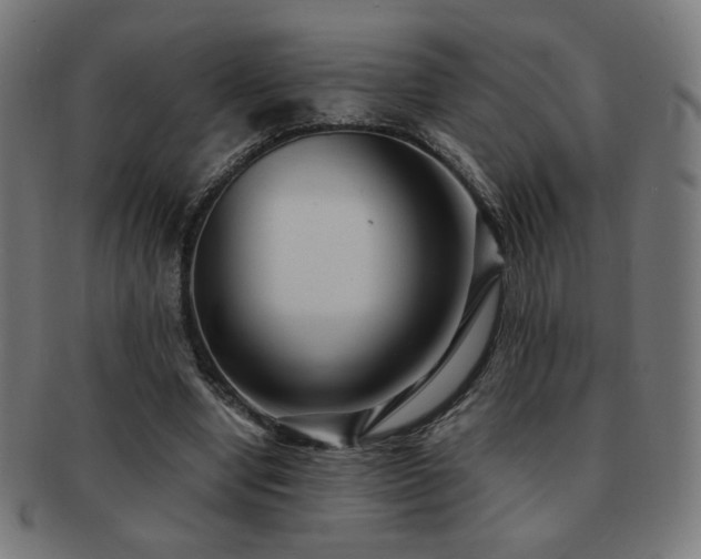 X0000091880442200709051327