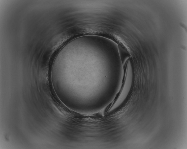 X0000091880443200709051327