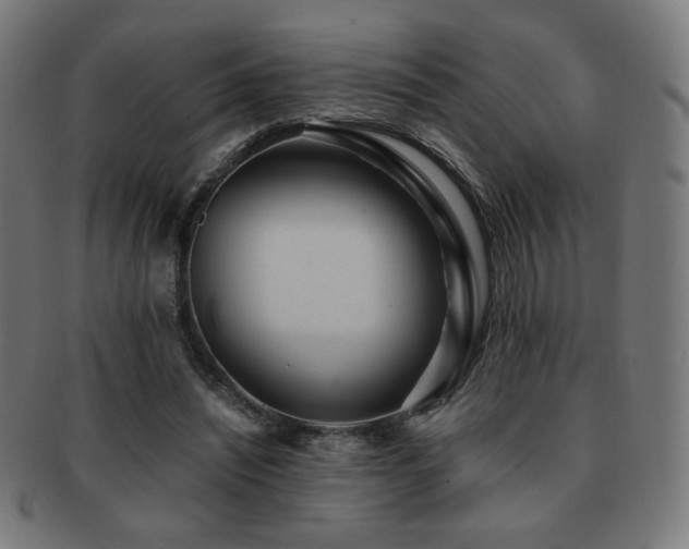 X0000091880444200709051327
