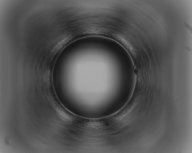 X0000091880445200709051327