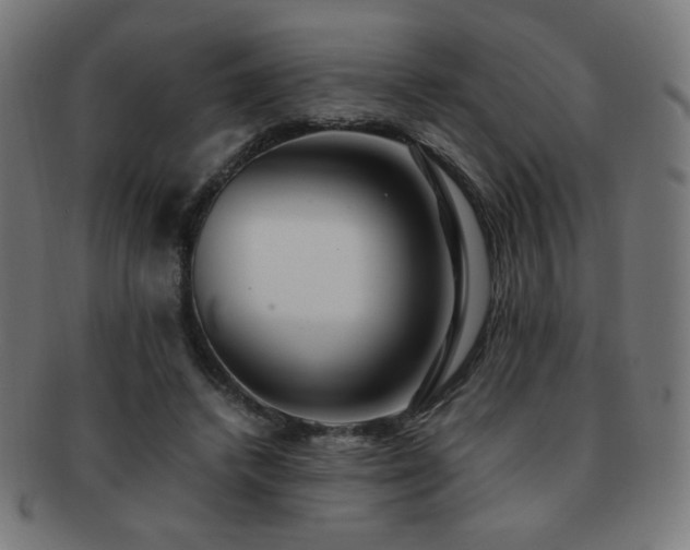 X0000091880448200709051327