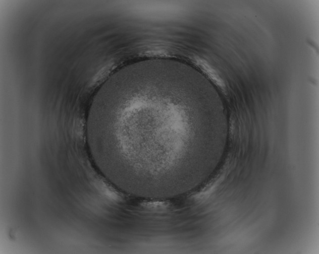 X0000091880449200709051327