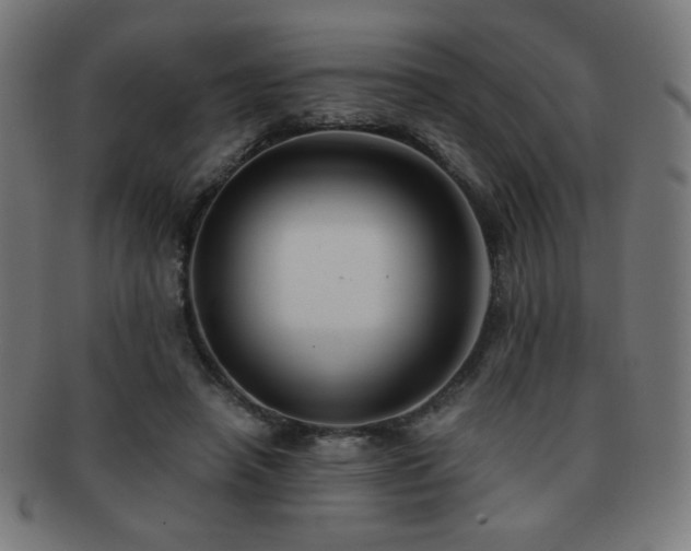X0000091880450200709051327