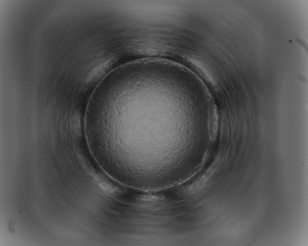 X0000091880453200709051327