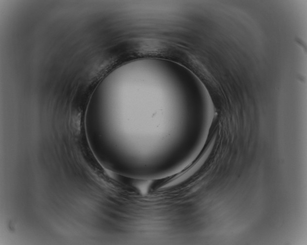 X0000091880454200709051327