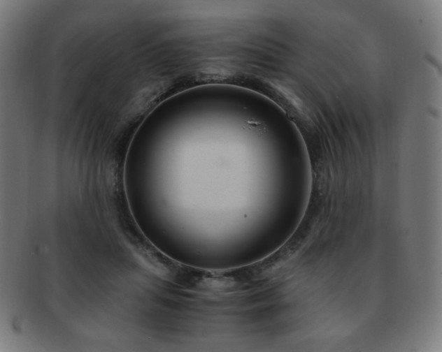 X0000091880455200709051327