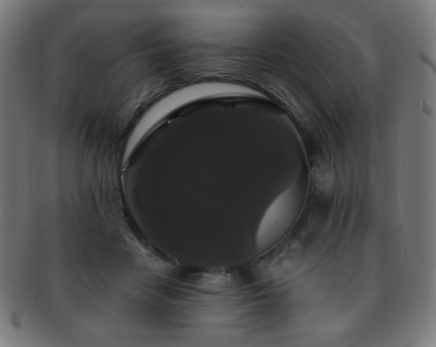 X0000091880458200709051327