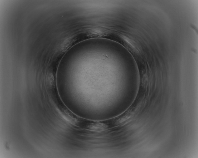 X0000091880459200709051327