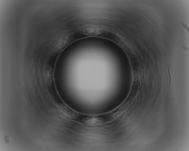 X0000091880460200709051327