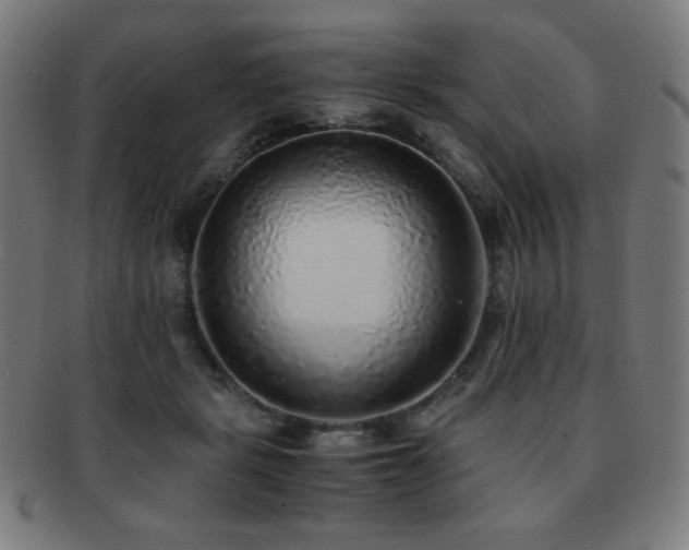 X0000091880461200709051327