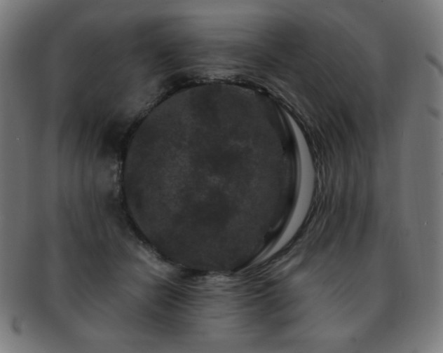 X0000091880462200709051327