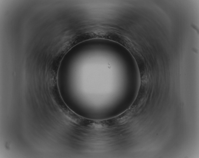 X0000091880464200709051327