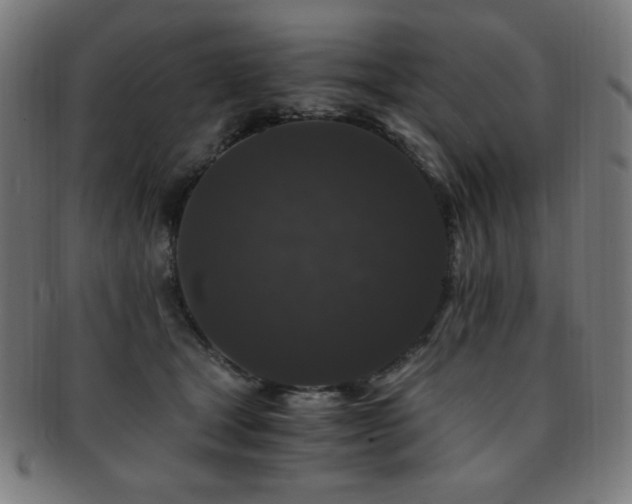 X0000091880465200709051327