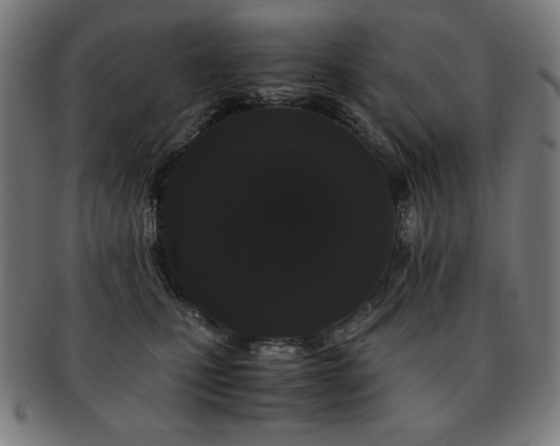 X0000091880471200709051327