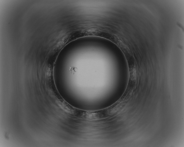 X0000091880472200709051327