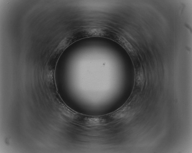 X0000091880473200709051327