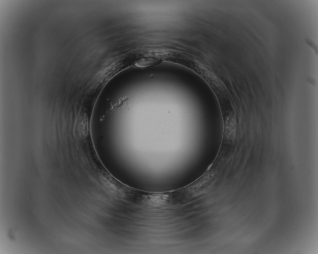 X0000091880474200709051327