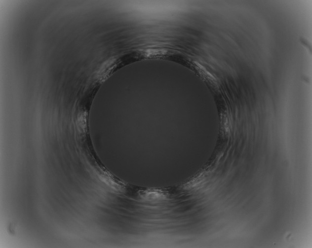 X0000091880475200709051327