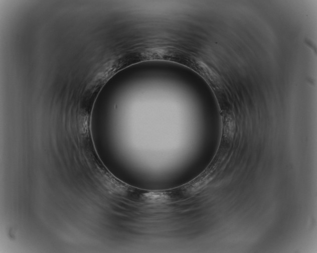 X0000091880477200709051327