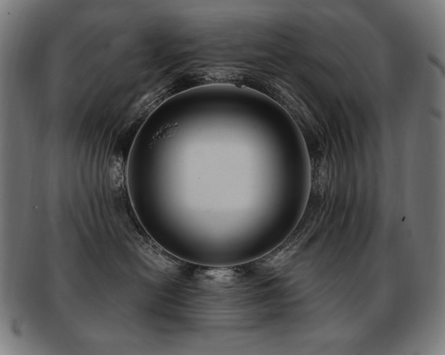 X0000091880478200709051327