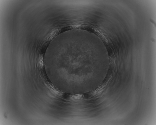 X0000091880479200709051327