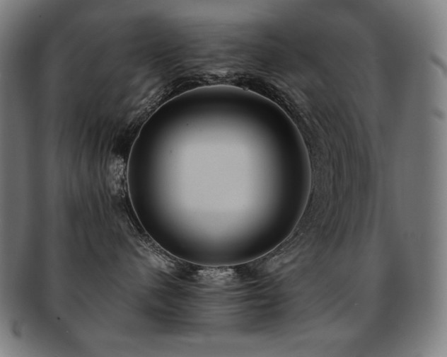 X0000091880480200709051327