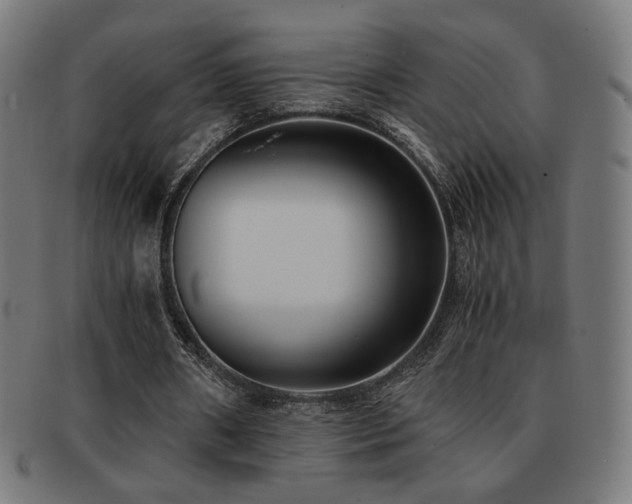X0000091880482200709051327