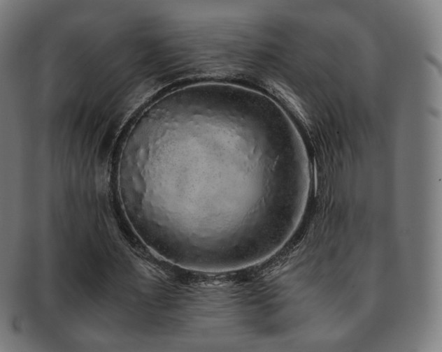 X0000091880483200709051327