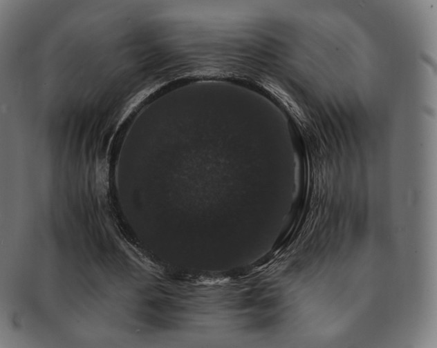 X0000091880484200709051327