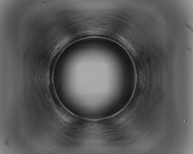 X0000091880486200709051327