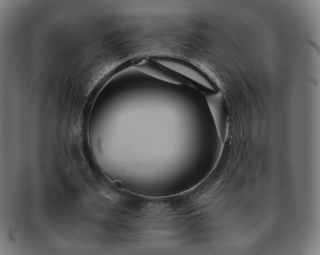 X0000091880487200709051327