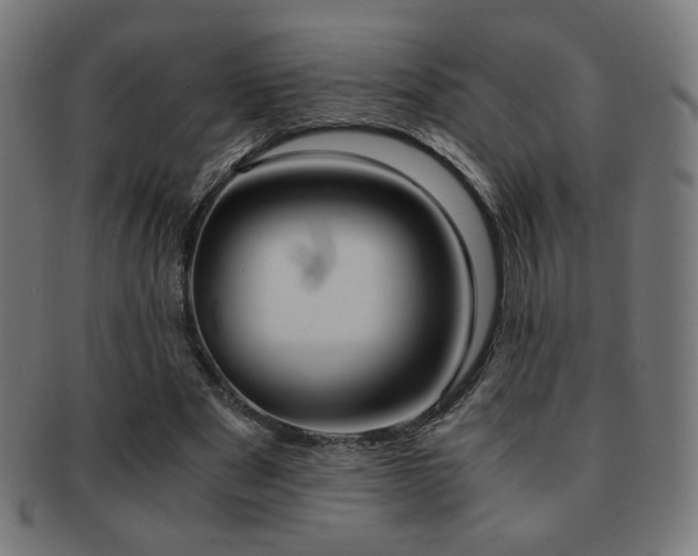 X0000091880489200709051326