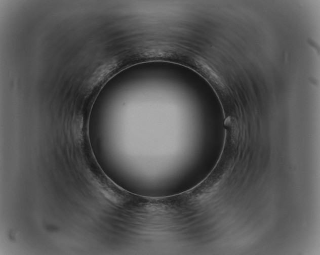 X0000091880490200709051326