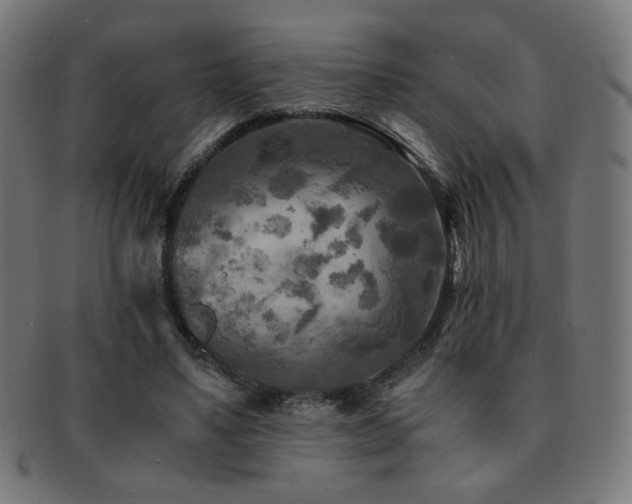 X0000091880491200709051326