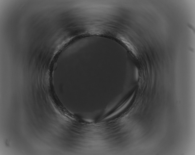 X0000091880492200709051326