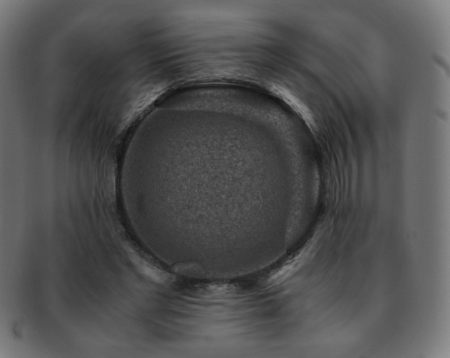 X0000091880493200709051326