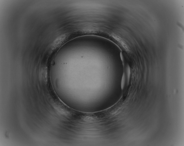 X0000091880494200709051326