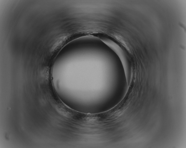 X0000091880495200709051326