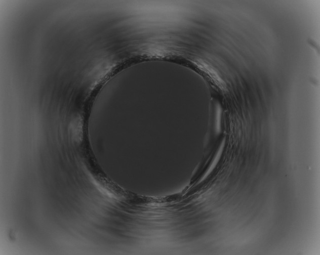 X0000091880496200709051326