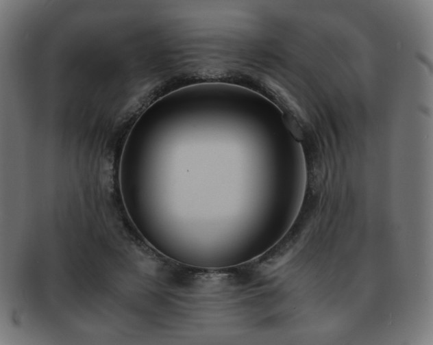 X0000091880497200709051326