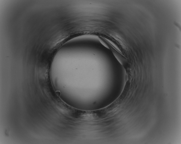 X0000091880499200709051326