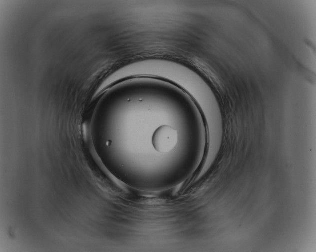 X0000091880501200709051326