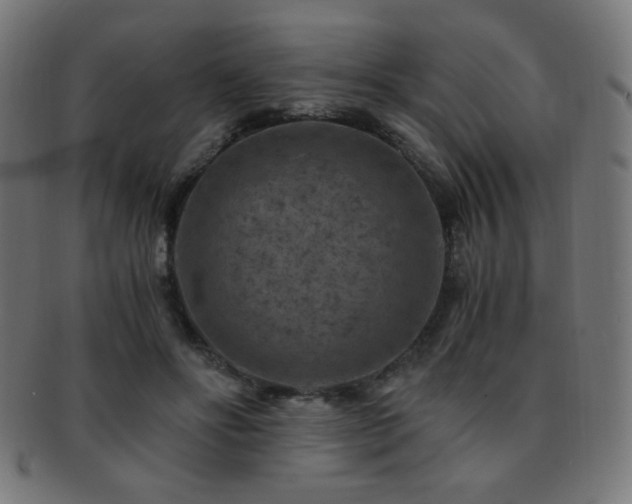 X0000091880502200709051326